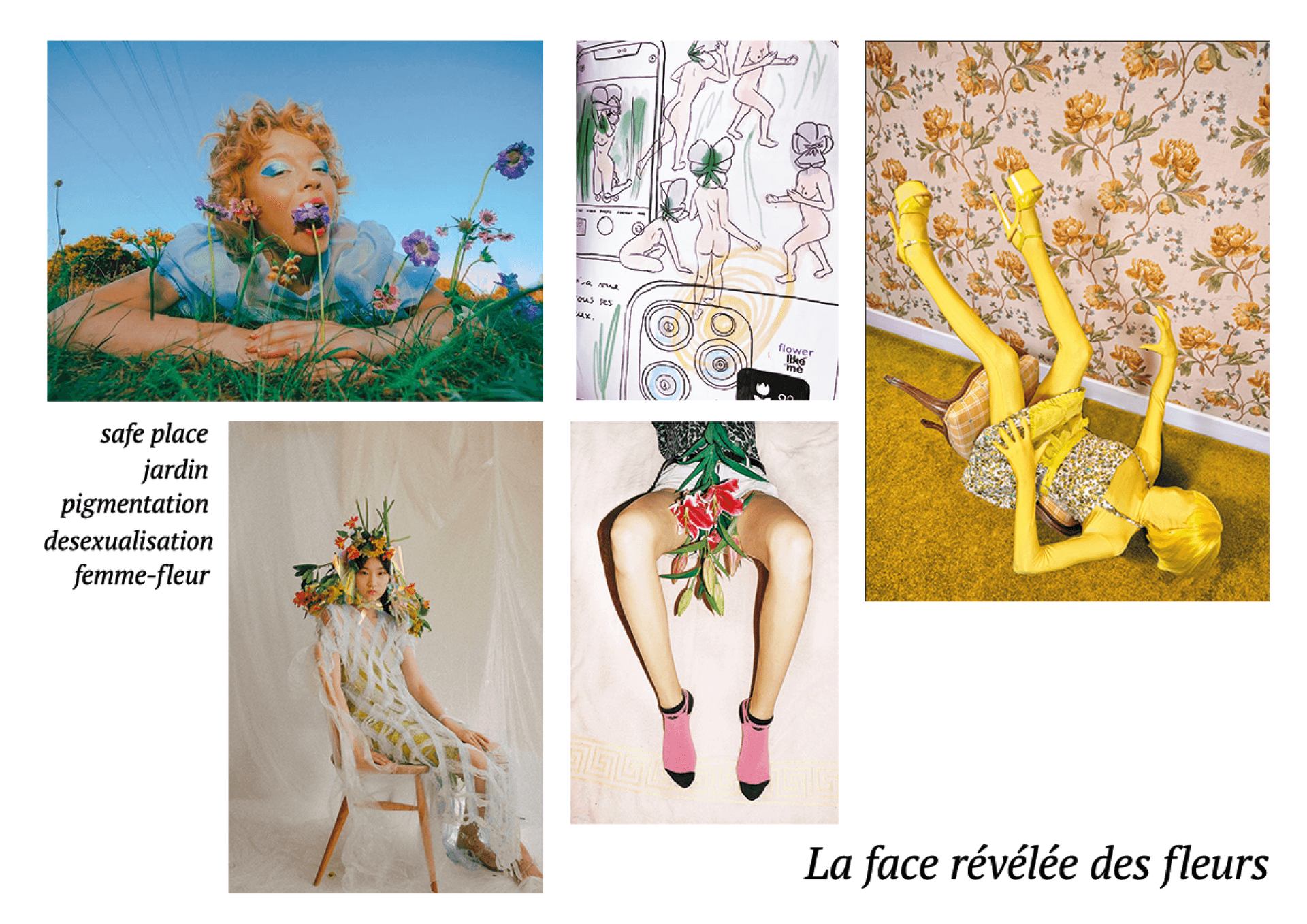 /assets/projects/la-face-revelee-des-fleurs/presentation/picture-1.png